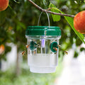 Solar-Powered Hanging Wasp Trap With Dual Entry Tunnels