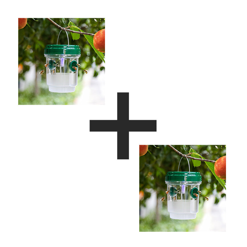 Solar-Powered Hanging Wasp Trap With Dual Entry Tunnels